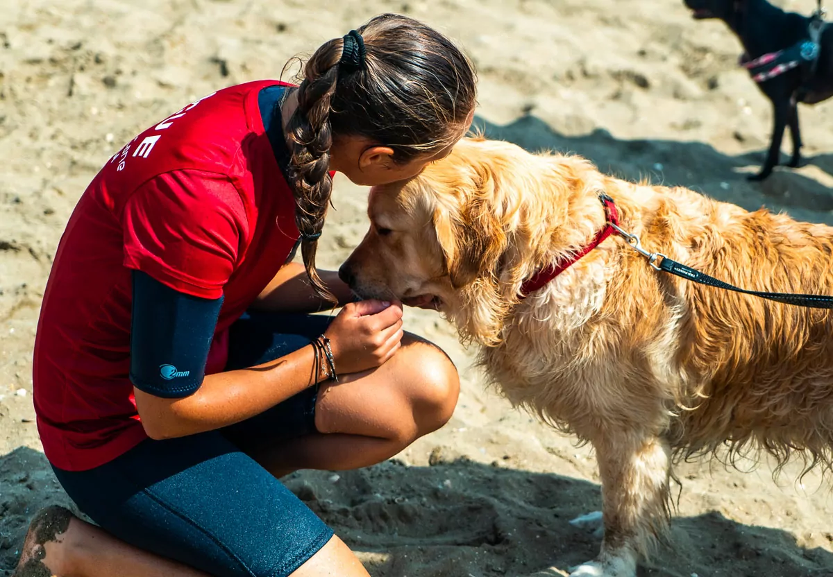 cane in spiaggia alla bidog beach del san francesco