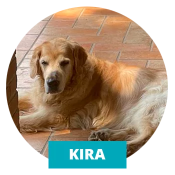 Kira