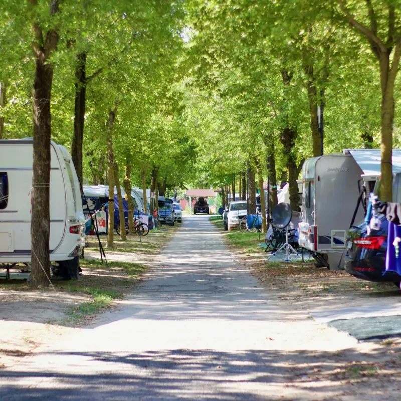 viale tra le piazzole del campeggio san francesco a caorle